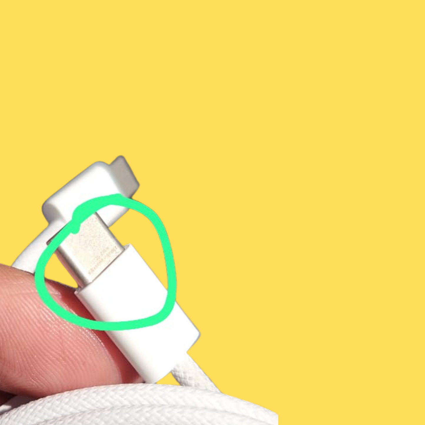 Apple USB-C to USB-C Cable - Branded